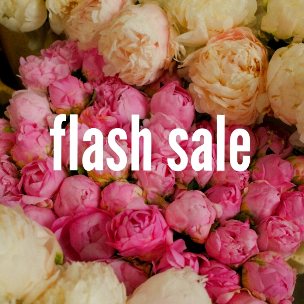 labor day flash sale ✨